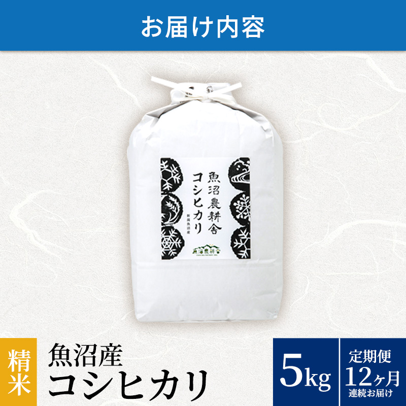 新潟県魚沼市のふるさと納税 米農家自慢の魚沼産コシヒカリ(精米)5kg×1袋 12ヶ⽉連続お届け ( 米 お米 こめ コメ おこめ 白米 こしひかり お楽しみ )