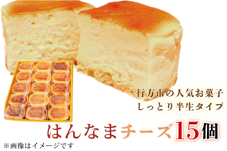 【茨城県行方市】H-28-1 はんなまチーズ15個