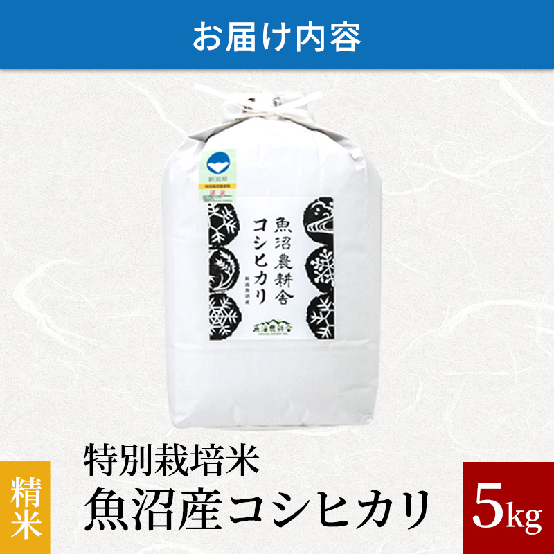 令和5年産　魚沼産コシヒカリ特別栽培米　精米5キロ