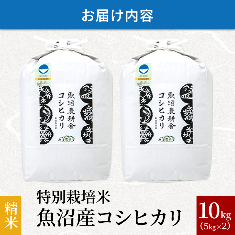 令和5年産]特別栽培米 魚沼産コシヒカリ（精米）10kg / 新潟県魚沼市