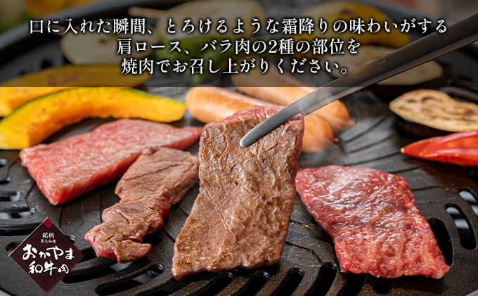 岡山県赤磐市のふるさと納税 定期便 6ヶ月 おかやま 和牛肉 A4等級以上 食べ比べ 毎月 約450g×6回 岡山県産 牛 赤身 肉 牛肉 冷凍