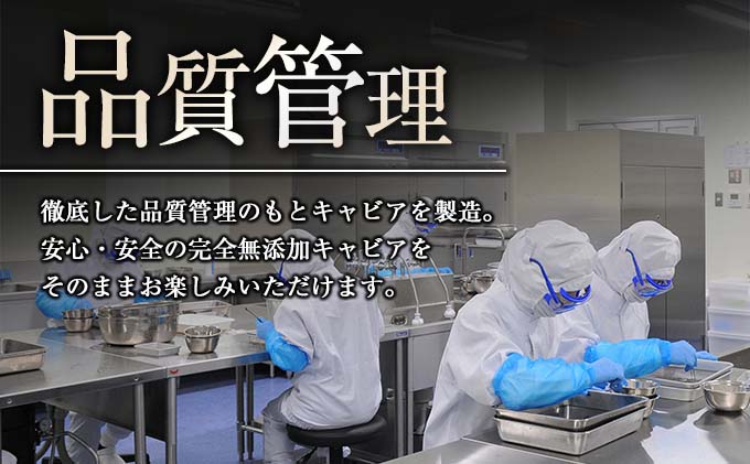 宮崎県日南市のふるさと納税 訳あり≪数量限定≫5つ星ホテル採用★宮崎県産キャビア詰め合わせセット(合計200g)　魚　魚介　国産 W2-23