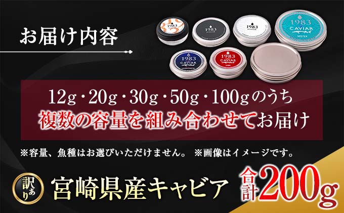 宮崎県日南市のふるさと納税 訳あり≪数量限定≫5つ星ホテル採用★宮崎県産キャビア詰め合わせセット(合計200g)　魚　魚介　国産 W2-23