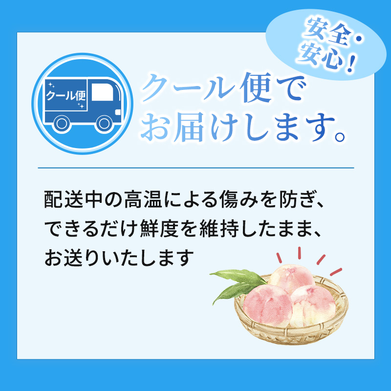 2024年発送 先行予約 浅間水蜜桃 みつおかの もも 川中島白桃 秀品 約5kg 長野県産 小諸市 桃 / 長野県小諸市 | セゾンのふるさと納税