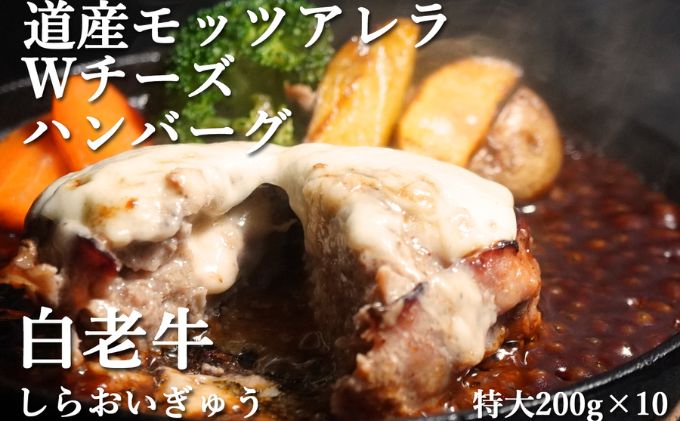 ykCszYa_u`[Yno[Oi200gj10 MROA048