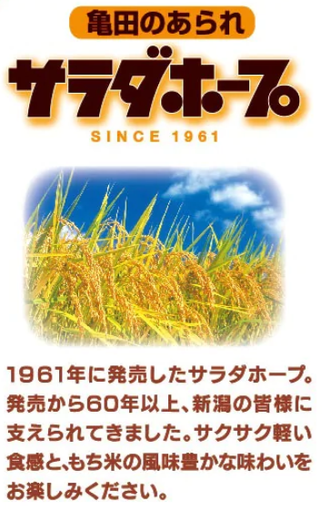 新潟県阿賀野市のふるさと納税 亀田製菓  サラダホープ90g×12袋 2A02009