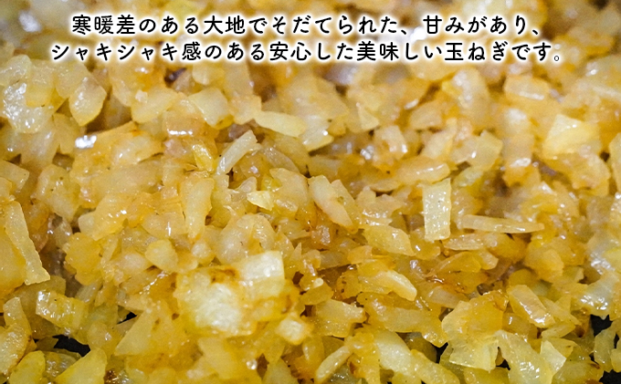 北海道滝川市のふるさと納税 北海道産 玉ねぎ 約10kg＜2024年9月下旬～順次出荷＞｜北海道 滝川市 野菜 たまねぎ 玉ネギ タマネギ 2024年発送 令和6年発送 ネギ ねぎ やさい