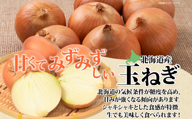 北海道滝川市のふるさと納税 【 ふるさと納税 】 秋野菜 詰合せ かぼちゃ じゃがいも 玉ねぎ その他旬の野菜 計 約9kg 空知良品計画 南瓜 カボチャ 採れたて じゃが芋 ジャガイモ たまねぎ タマネギ 玉葱 セット まとめ買い おすそ分け2024年 10月中旬～順次出荷 北海道 【 滝川市 】