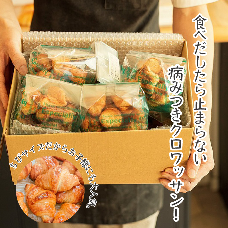 全粒粉ちびクロワッサン　どーんと1kg 約125個！（10個入り12袋+4～5個入り1袋） H087-009|ドゥークー株式会社　 TEL:0566-55-2121