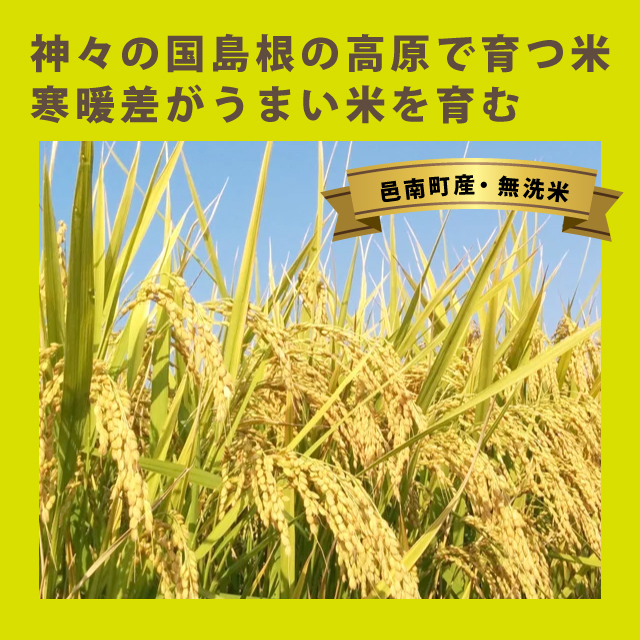 島根県邑南町のふるさと納税 令和5年産石見高原みずほ米コシヒカリ 無洗米仕上10kg