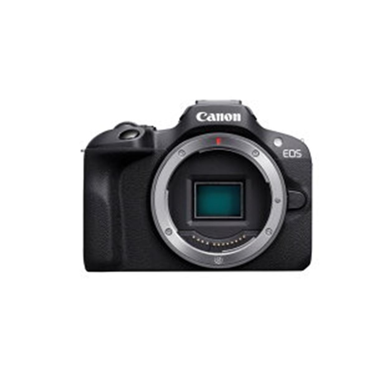 Canon ミラーレスカメラ EOS R6 ボディ - デジタルカメラ