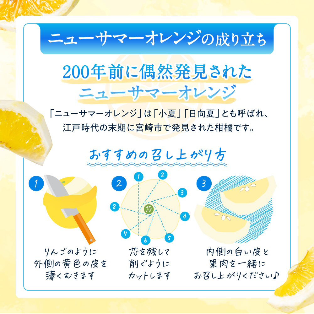 AA115.福岡柑橘王国.ニューサマーオレンジ約5kg/2026年4月配送 AA115.福岡柑橘王国.ニューサマーオレンジ約5kg/2026年4月配送