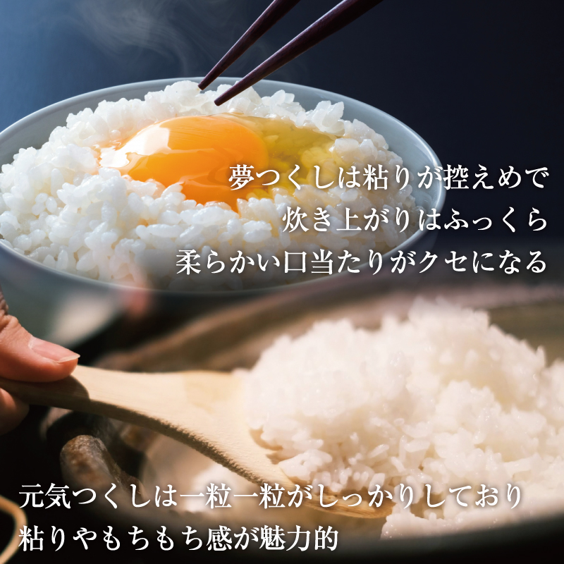 令和5年産 福岡県産 米 食べ比べ＜白米＞セット「夢つくし」と「元気