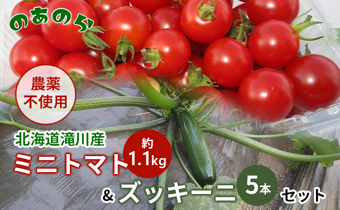[栽培期間中 農薬不使用 ] 北海道 滝川市 産 ミニトマト 約1.1kg& ズッキーニ 5本セット トマト 野菜 やさい みにとまと ずっきーに セット 詰め合わせ 詰合せ