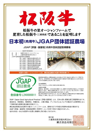 三重県多気町のふるさと納税 SS-407　松阪牛 家庭用 小間切れ 1.4kg（200g×7P） 小分け 国産 肉