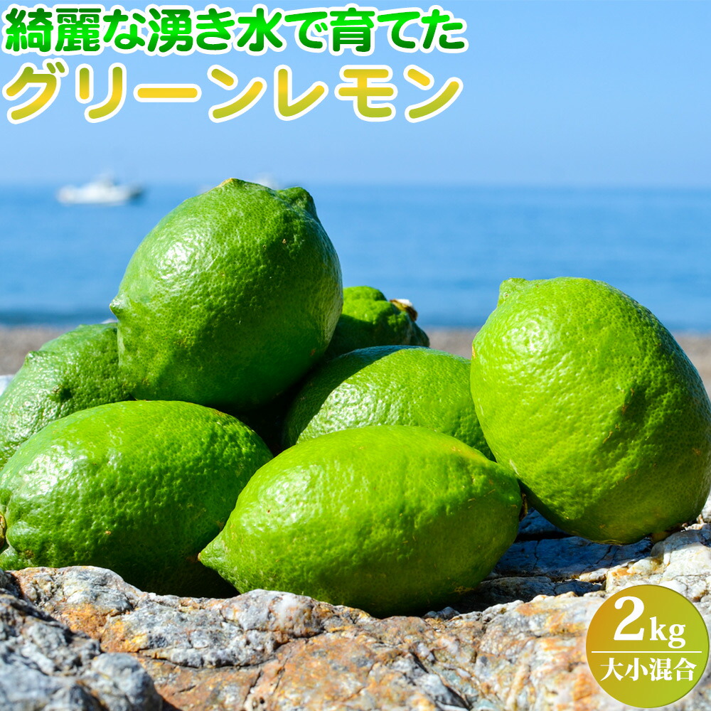 綺麗な湧き水で育てたグリーンレモン　2kg　(大小混合)-