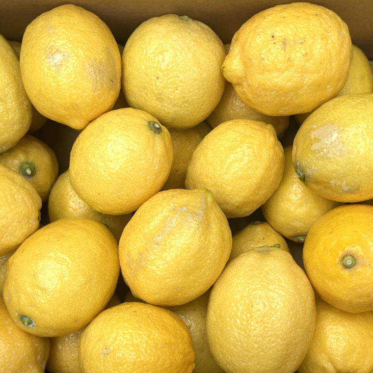 ZD6706n_有田産の安心国産レモン約5kg （サイズ混合）