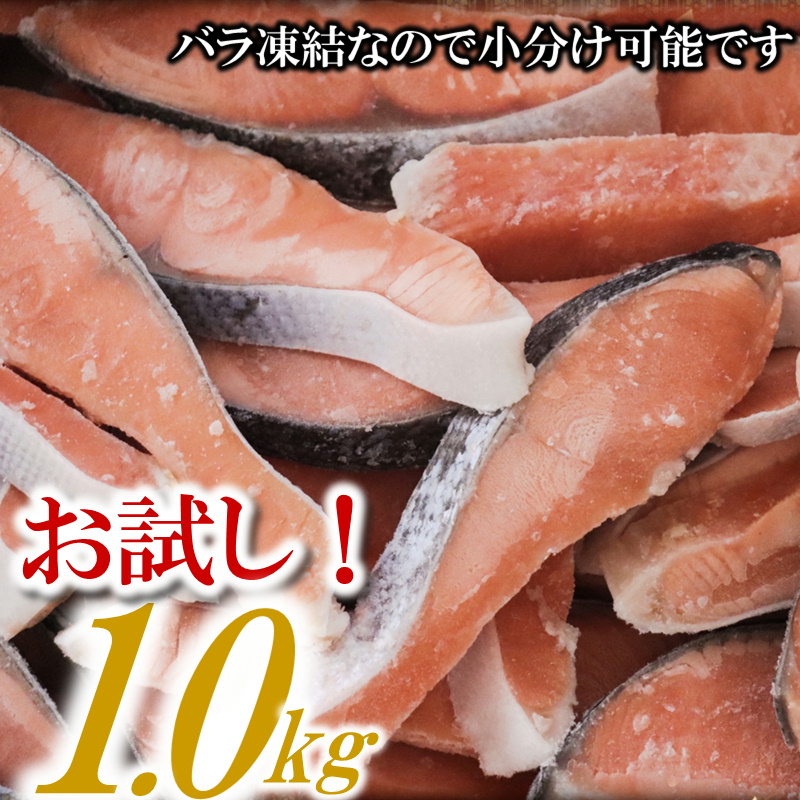 福岡県新宮町のふるさと納税 ZH149.バラ凍結で便利！銀鮭切身（約1.0kg）