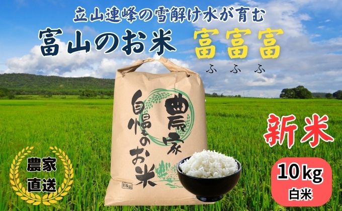 ふるさと納税 富山米「富富富」10kg（白米5kg×2袋） 富山県魚津市 - 米