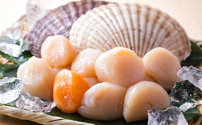 ホタテ貝柱500g 楽天市場】ムキホタテ 貝柱 特大サイズ 500g(12個前後) 北海道
