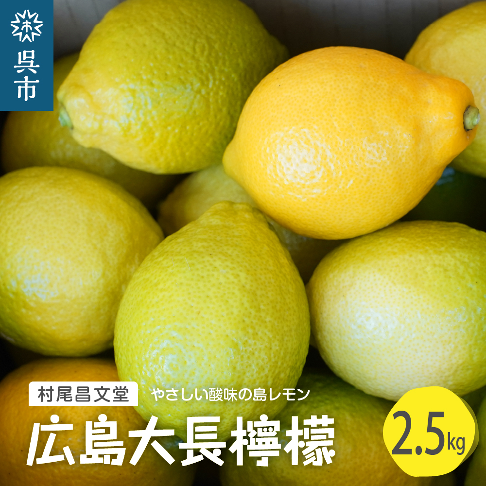 国産檸檬（レモン）発祥の地　広島大長檸檬　広島県呉市　2.5kg　セゾンのふるさと納税
