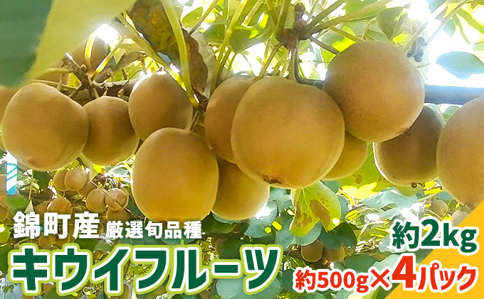 キウイ 先行予約 錦町産 旬のキウイフルーツ 約2kg 約500g×4パック