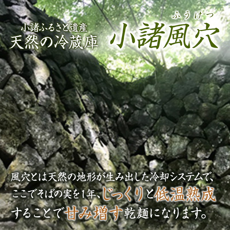 風穴そば乾麺セットつゆ付き　10人前 蕎麦 ソバ 長野 お土産 ご当地 お取り寄せ