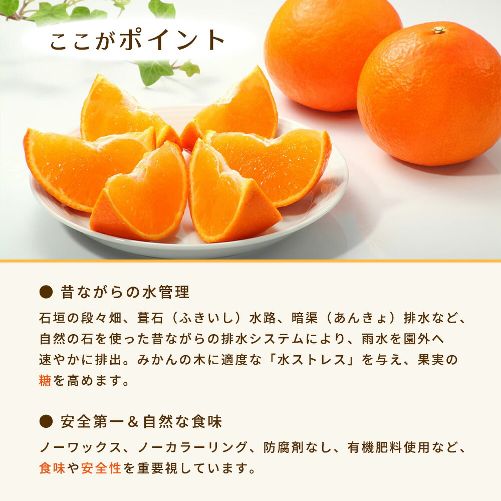 BT6011n_和歌山県有田産 みかん 5kg +0.5kg 増量 L～Sサイズ