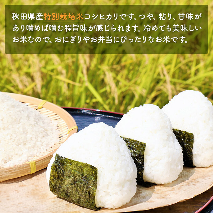 【令和5年産新米予約】【無洗米】特別栽培米にかほのお米 食べ比べ3種ギフトセット450g×3（サキホコレ、あきたこまち、コシヒカリ）|有限会社　 なるほど舎