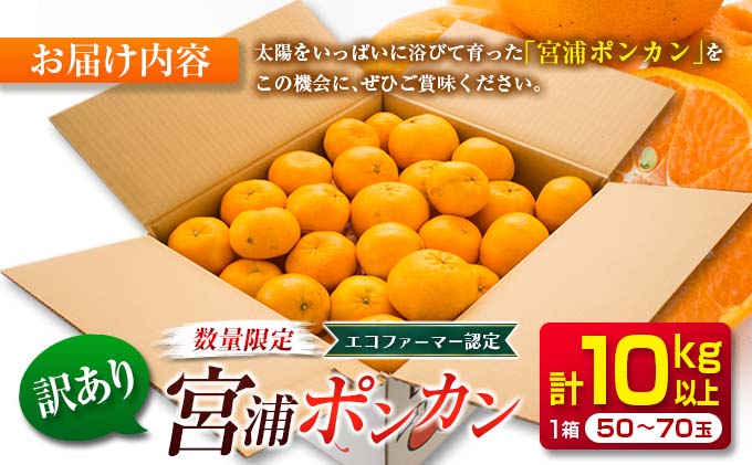 宮崎県日南市のふるさと納税 【年内発送】訳あり≪数量限定≫宮浦ポンカン(計10kg以上)　フルーツ　果物　柑橘　ぽんかん　みかん　国産 C45-20