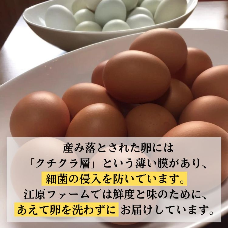 AG04_江原ファーム　体に優しい地養卵（50個）たまご/タマゴ/生みたて/新鮮/-