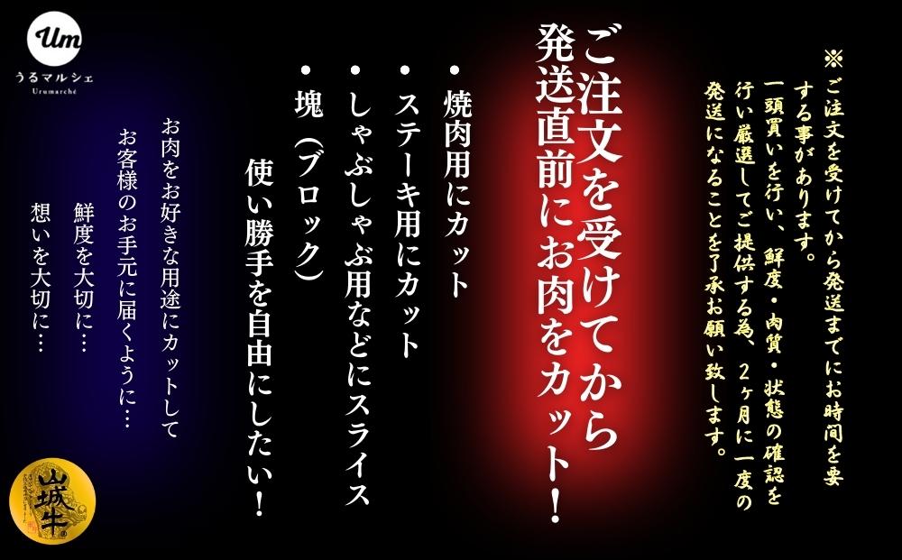 2024年5月発送】【入手困難】【幻の黒毛和牛】『山城牛』【雌牛限定