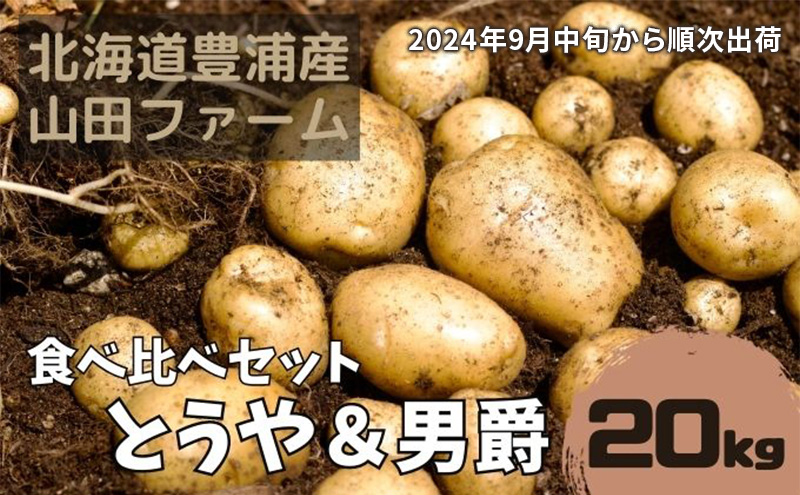 北海道 豊浦産 じゃがいも  とうや 男爵 食べ比べ セット 20kg M-Lサイズ 農園直送 産直 ポテト 芋 イモ
