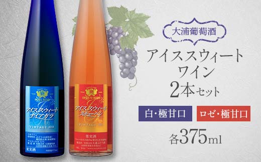 【日本ワインコンクール2023金賞受賞ワイン】 大浦葡萄酒 アイススウィートワイン 375ml×2本セット 『(有)大浦葡萄酒』 白ワイン ロゼ 甘口  山形県 南陽市 1896|有限会社大浦葡萄酒