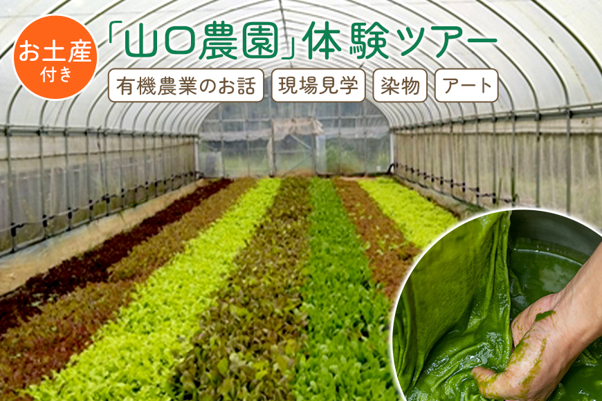 ふるさと納税 奈良県 宇陀市 農家のたっぷり野菜カレー １０個／山口