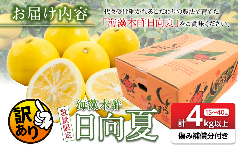 訳あり≪数量限定≫海藻木酢日向夏(計4kg以上)傷み補償分100g付き