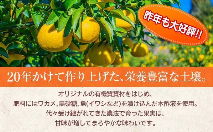 宮崎県日南市のふるさと納税 先行予約 訳あり 数量限定 海藻木酢 日向夏 小夏 計8kg以上 傷み補償分付き 期間限定 フルーツ 果物 くだもの 柑橘 みかん 訳アリ 国産 食品 デザート おやつ おすそ分け おすすめ ご家庭用 ご自宅用 B品 傷 マーマレード 産地直送 宮崎県 日南市 送料無料_BA80-24