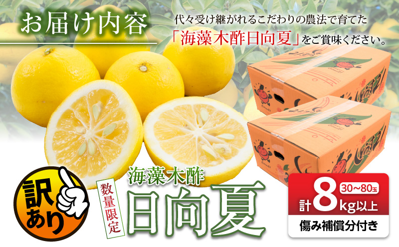 訳あり 数量限定 海藻木酢 日向夏 計8kg以上 傷み補償分200g付き フルーツ 果物 柑橘 みかん 人気 国産 食品 デザート 家庭用  送料無料_B228-23|橘孝園