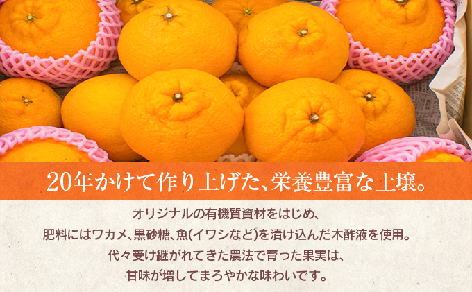 宮崎県日南市のふるさと納税 先行予約 訳あり 数量限定 海藻木酢 不知火 計3.5kg以上 傷み補償分付き 期間限定 フルーツ 果物 くだもの 柑橘 みかん 訳アリ 国産 食品 デザート おやつ おすそ分け おすすめ ご家庭用 ご自宅用 B品 傷 マーマレード 産地直送 宮崎県 日南市 送料無料_ZZV1-24