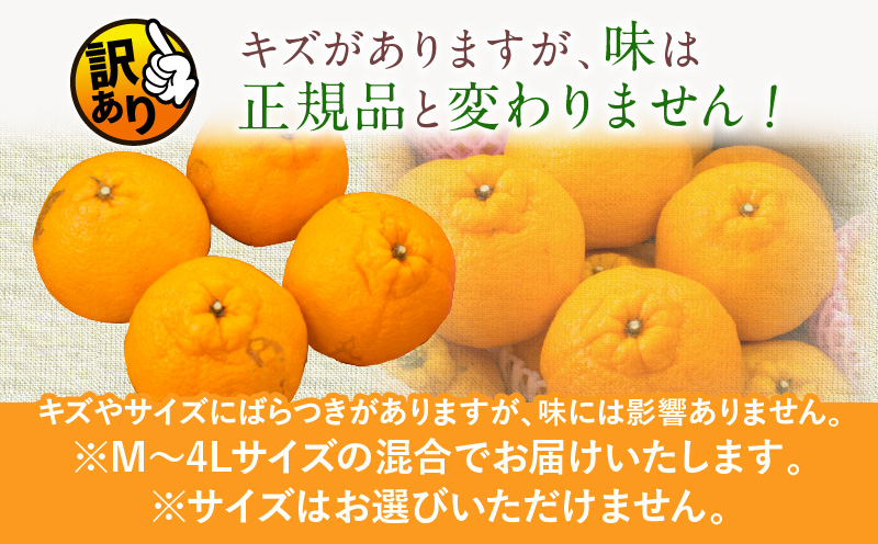 宮崎県日南市のふるさと納税 先行予約 訳あり 数量限定 海藻木酢 不知火 計3.5kg以上 傷み補償分付き 期間限定 フルーツ 果物 くだもの 柑橘 みかん 訳アリ 国産 食品 デザート おやつ おすそ分け おすすめ ご家庭用 ご自宅用 B品 傷 マーマレード 産地直送 宮崎県 日南市 送料無料_ZZV1-24