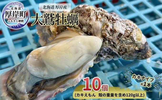 【10月2日から寄付額変更】北海道 厚岸産 大鷲牡蠣 10個