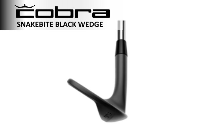 cobra SNAKEBITE BLACK WEDGE ダイナミックゴールドEXツアーイシュー