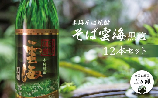 本格そば焼酎 そば雲海黒麹 12本セット|