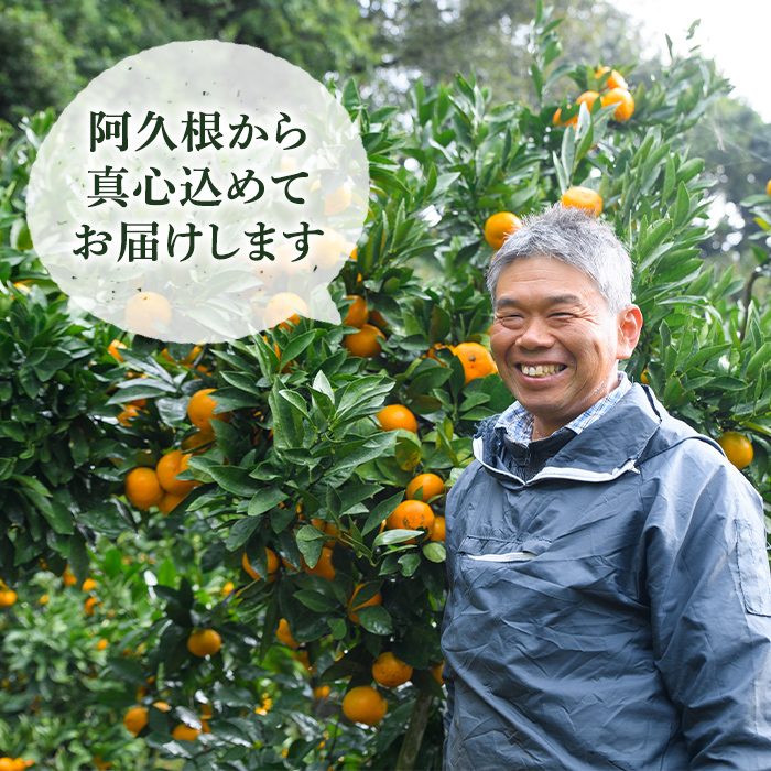 鹿児島県阿久根市のふるさと納税 ＜先行予約受付中！2024年12月上旬以降順次発送予定＞数量限定！早生ミカン・温州ミカン食べ比べセット(合計10kg・各5kg) 国産 フルーツ 果物 柑橘【三笠農業生産】a-29-5