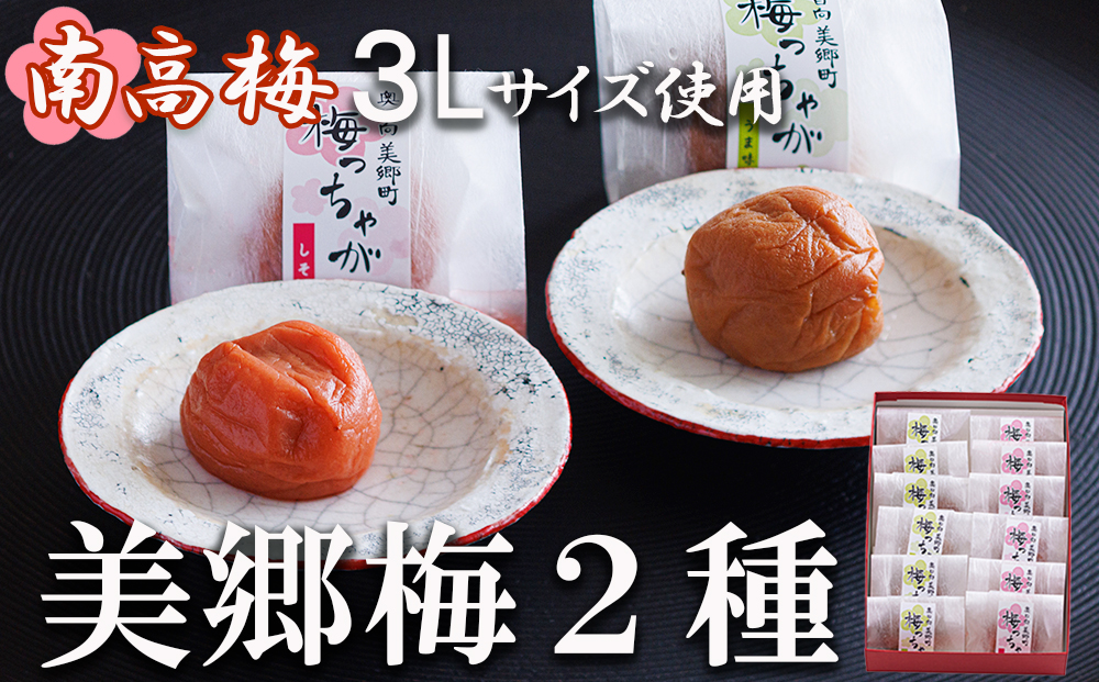 y{茧z썂~ ~ ~ ꗱ ܖz & V\ e6 3LTCY Ai ϔ [_юY m {茧  31ab0101] Y Zbg lߍ킹 {茧Y Y 퉷  i ̓ ̓ v[g Mtg