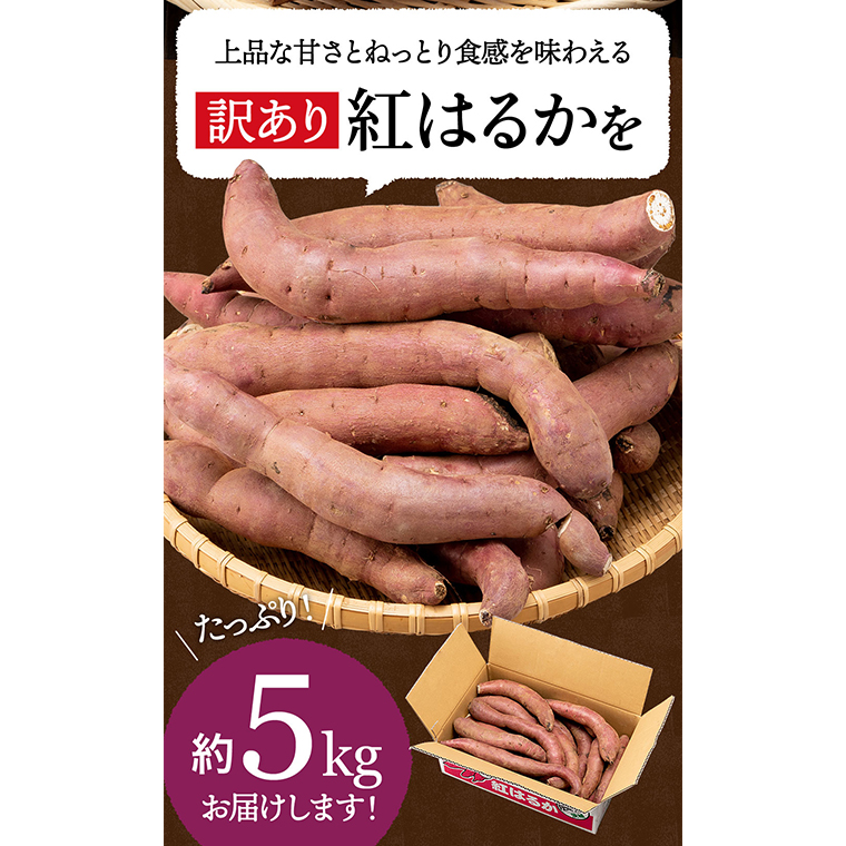 訳あり さつまいも 5kg 小さめ 無選別 （茨城県共通返礼品：行方市