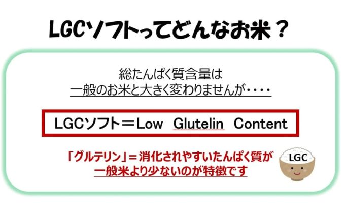 静岡県袋井市のふるさと納税 令和2年産 静岡県産 精米 LGCソフト 1kg×3袋