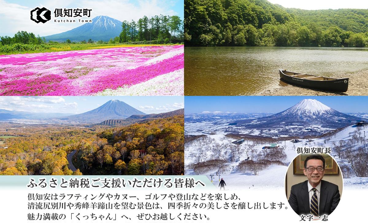 北海道産 じゃがいも 男爵 約10kg じゃが芋 ジャガイモ 芋 いも 男爵 