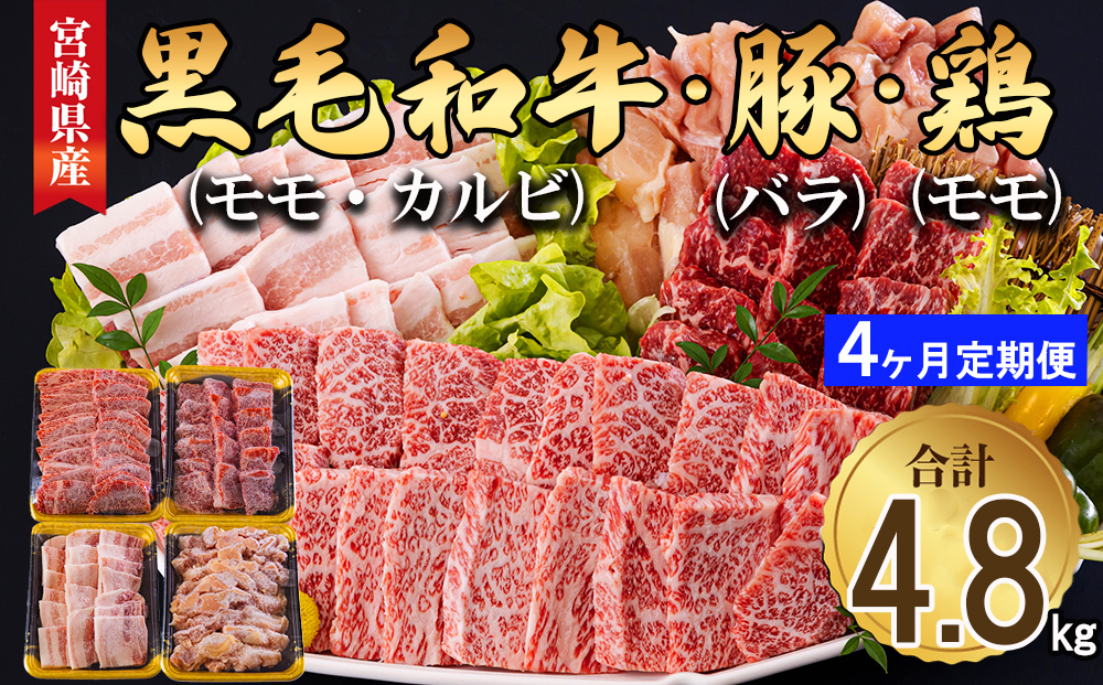 y{茧z4  {茧Y ē Zbg јa  Jr ؃o {  v4.8kg e300g [TAOt[Y {茧  31ba0037]   ؓ {  Ⓚ lߍ킹 oY