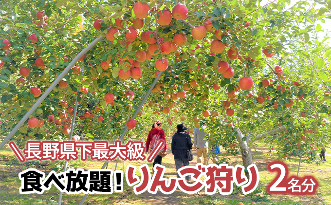 長野県下最大級 りんご狩り体験 りんご狩り発祥園　